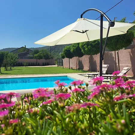 Villa Vita מוסטר
